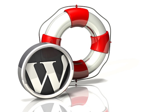 Wordpress pagina bianca: problemi visualizzazione homepage wordpress
